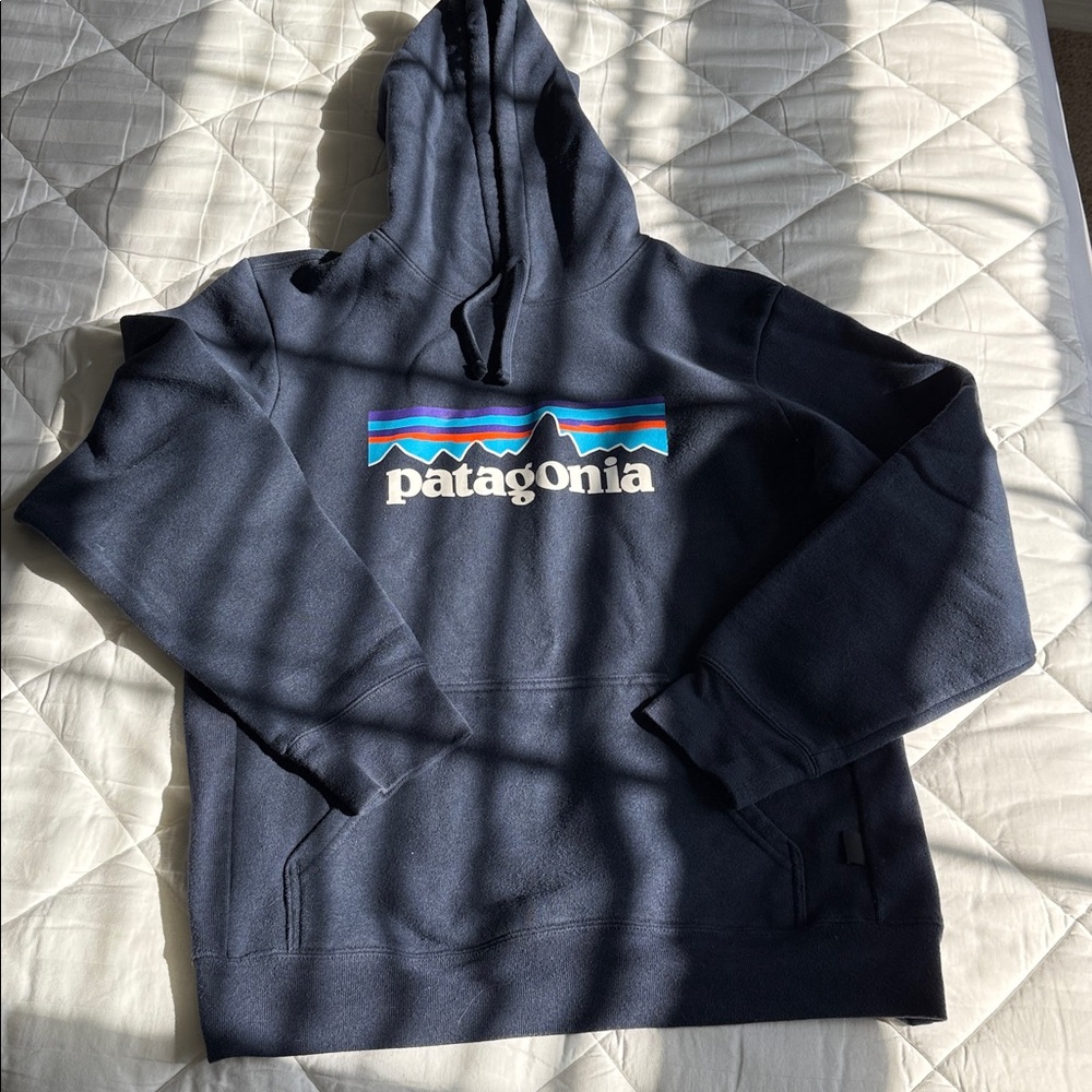 Patagonia Sweatshirt